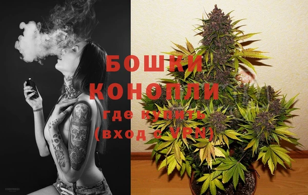 мяу мяу мука Лабытнанги