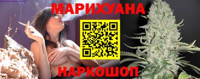 крисы Кинель