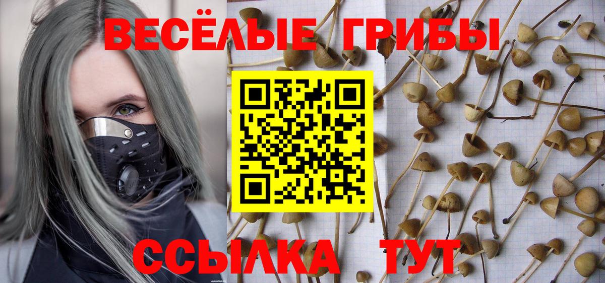 Галлюциногенные грибы MAGIC MUSHROOMS  Таганрог 