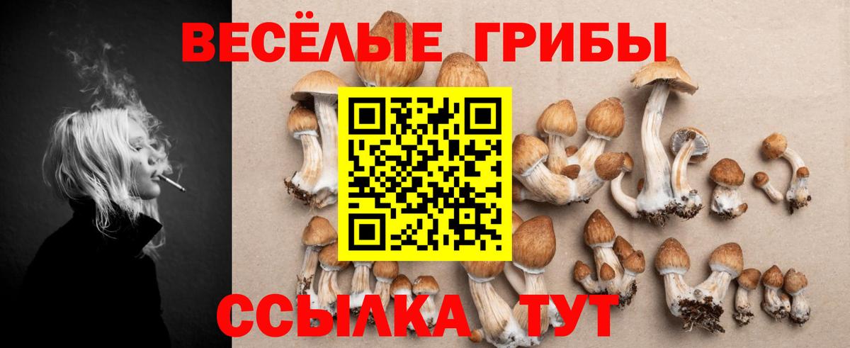 Галлюциногенные грибы Psilocybe  Вход с VPN  купить наркоту  Таганрог  Псилоцибиновые грибы ЛСД 